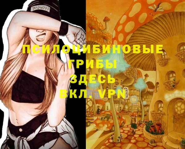 не бодяженный Абдулино