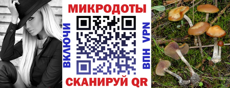 Псилоцибиновые грибы MAGIC MUSHROOMS  Кашира 